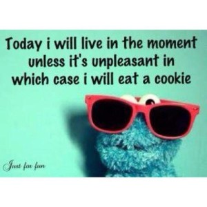 cookie-monster in sunglasses